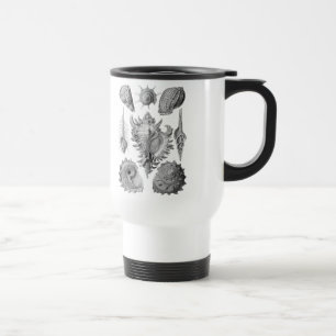 Vintage Seashells Travel Mug