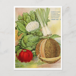 Vintage Seed Ad Postcard