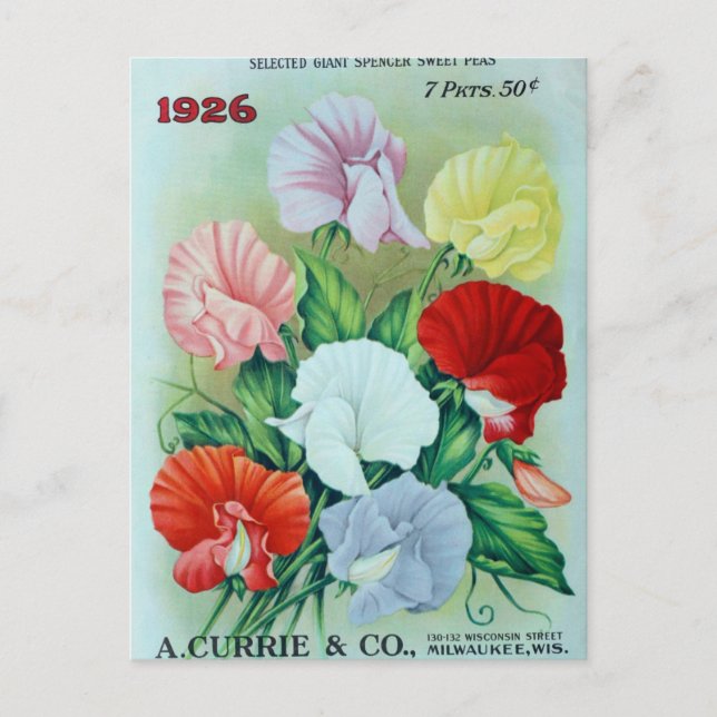 Vintage Seed Ad Postcard (Front)