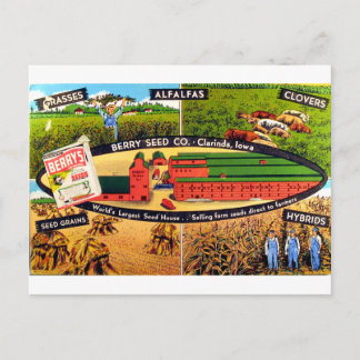 Vintage Seed Ad Postcard