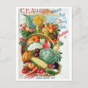 Vintage Seed Ad Postcard