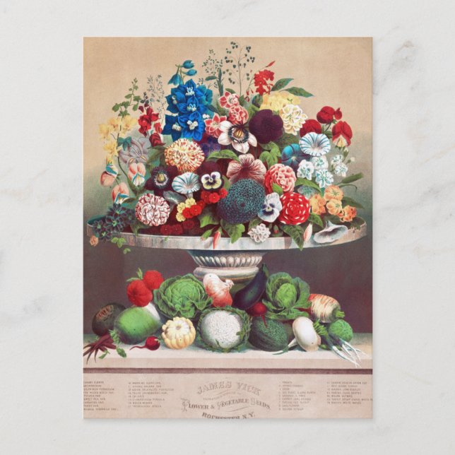 Vintage Seed Ad Postcard (Front)