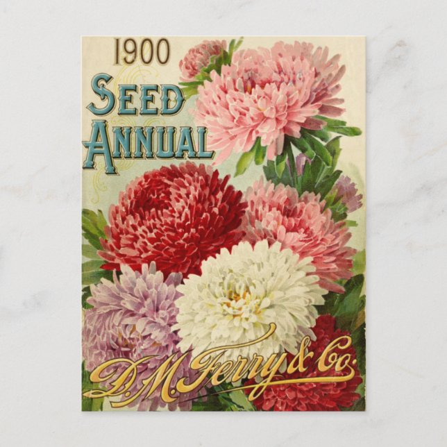 Vintage Seed Ad Postcard (Front)