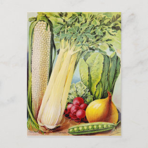 Vintage Seed Ad Postcard