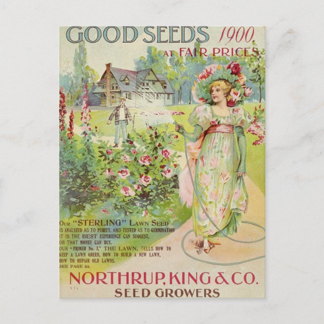 Vintage Seed Ad Postcard (Front)