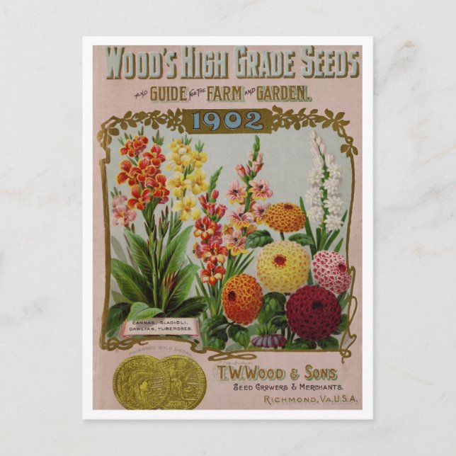 Vintage Seed Ad Postcard (Front)