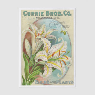 Vintage Seed Catalog Currie Bros, 1905 Tissue Paper