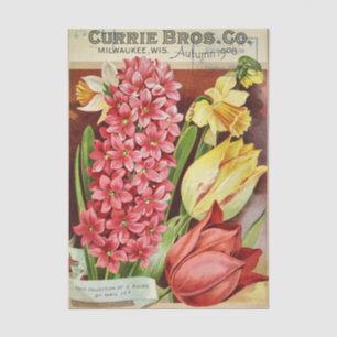 Vintage Seed Catalog Currie Bros, 1906, Bulbs Tissue Paper