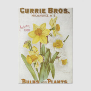 Vintage Seed Catalog Curries Bros, Autumn 1900 Tissue Paper
