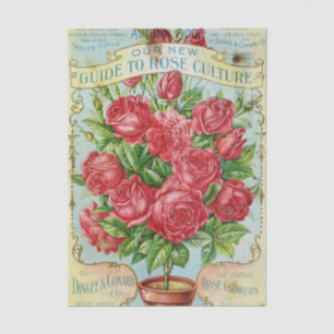 Vintage Seed Catalog Dingee & Conard Rose Culture  Tissue Paper