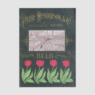 Vintage Seed Catalog Peter Henderson, 1901, Bulbs  Tissue Paper