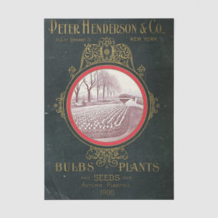 Vintage Seed Catalog Peter Henderson Co., 1900 Tissue Paper