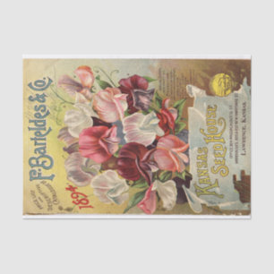 Vintage Seed Catalogue 1894 F. Barteldes Sweet Pea Tissue Paper
