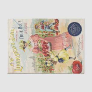 Vintage Seed Catalogue A.W. Livingson's Sons, 1894 Tissue Paper