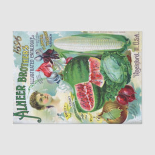 Vintage Seed Catalogue Alneer Brothers 1896 Tissue Paper