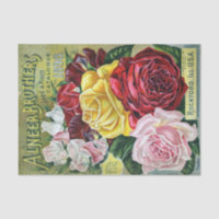 Vintage Seed Catalogue Alneer Brothers, Roses, 189