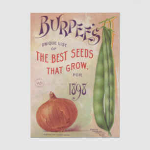 Vintage Seed Catalogue Burpee's Company 1898 Tissue Paper