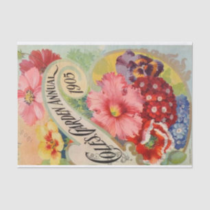 Vintage Seed Catalogue Cole's Garden Annual, 1905 Tissue Paper