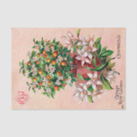 Vintage Seed Catalogue Cottage Rose Garden, 1897