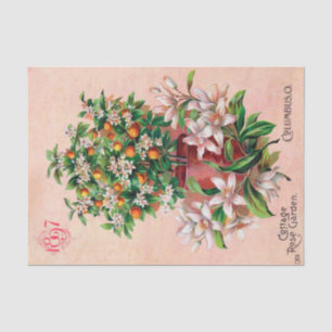 Vintage Seed Catalogue Cottage Rose Garden, 1897 Tissue Paper