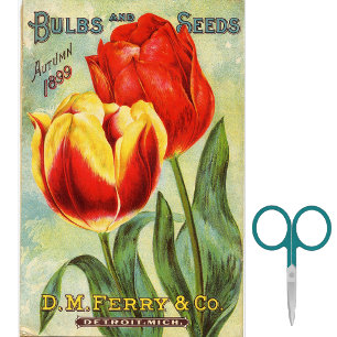 Vintage Seed Catalogue D.M. Ferry Autumn 1899  Tissue Paper