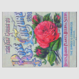 Vintage Seed Catalogue Dingee Conard Rose Culture  Tissue Paper