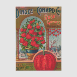 Vintage Seed Catalogue Dingee Rose Growers, 1897 Tissue Paper