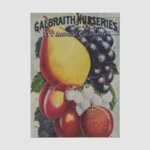 Vintage Seed Catalogue, Galbraith Nurseries Tissue Paper