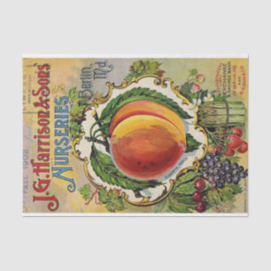 Vintage Seed Catalogue Harrison & Sons Nurseries Tissue Paper