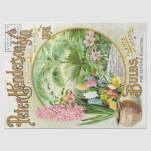 Vintage Seed Catalogue Henderson 1896 Bulbs, Plant Tissue Paper