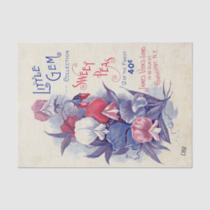 Vintage Seed Catalogue James Vick's Sweet Peas Tissue Paper