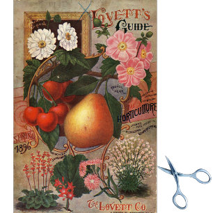 Vintage Seed Catalogue Lovett's Guide Spring 1896 Tissue Paper