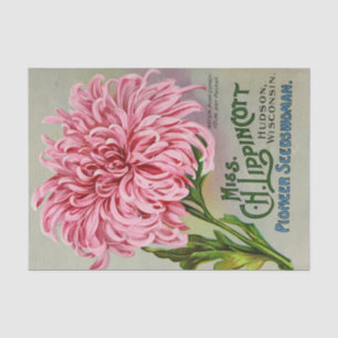 Vintage Seed Catalogue Ms. Lippincott Flowers Tissue Paper