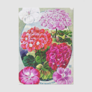 Vintage Seed Catalogue New Giant Geraniums Tissue Paper