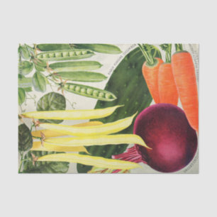 Vintage Seed Catalogue Vegetables  Tissue Paper