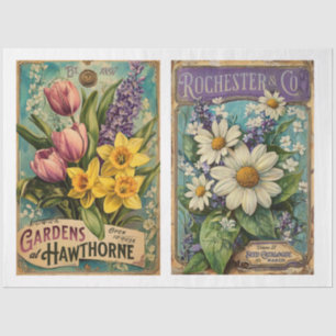Vintage Seed Catoloque x 2 designs Tissue Paper