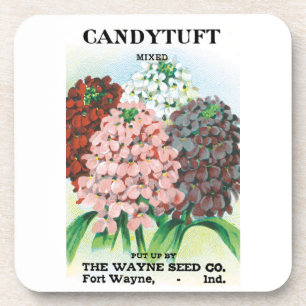 Vintage Seed Packet Art, Candytuft Garden Flowers Coaster
