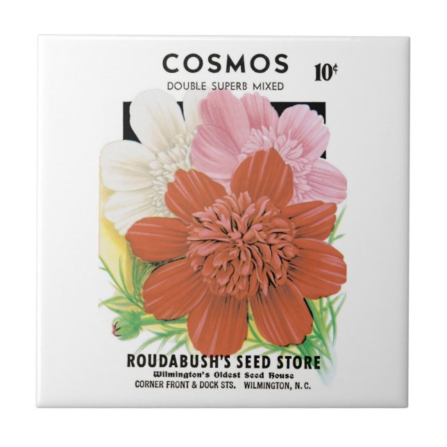 Vintage Seed Packet Art, Cosmos Garden Flowers Tile (Front)
