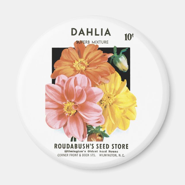 Vintage Seed Packet Art, Dahlia Garden Flowers Magnet (Front)