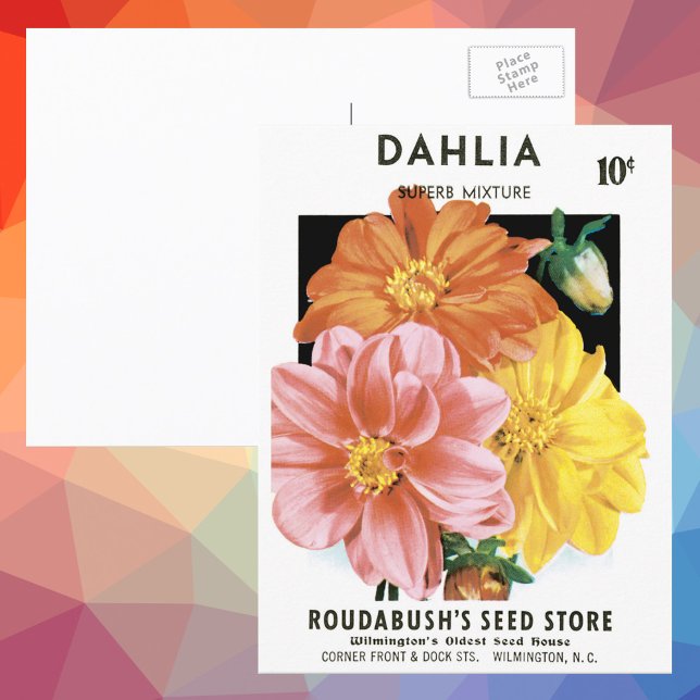 Vintage Seed Packet Art, Dahlia Garden Flowers Postcard (Creator Uploaded)