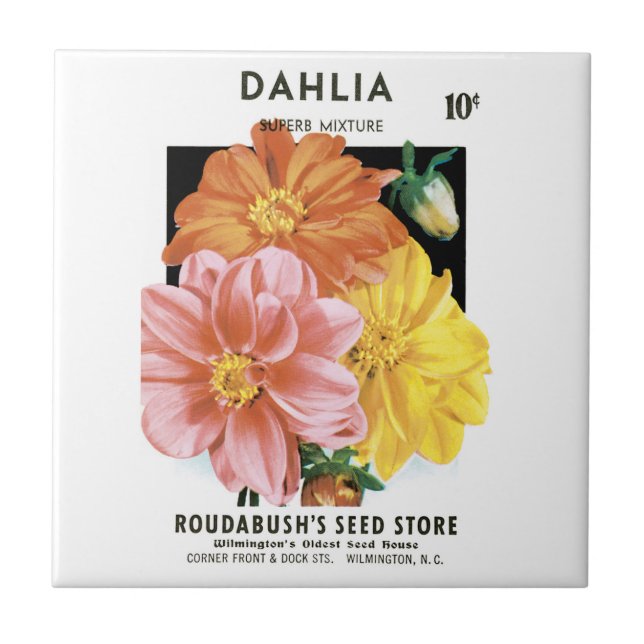 Vintage Seed Packet Art, Dahlia Garden Flowers Tile (Front)