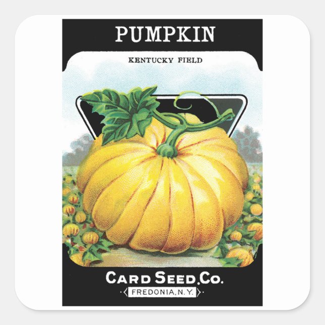 Vintage Seed Packet Art, Halloween Pumpkin Square Sticker (Front)