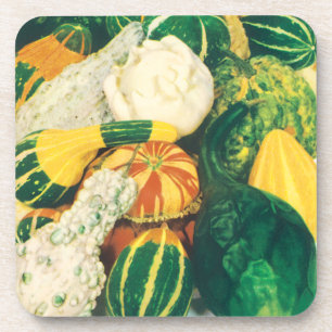 Vintage Seed Packet Art, Mixed Gourds Squash Coaster