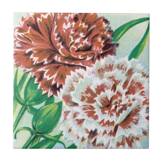Vintage Seed Packet Art, Pinks Carnation Flowers Tile (Front)