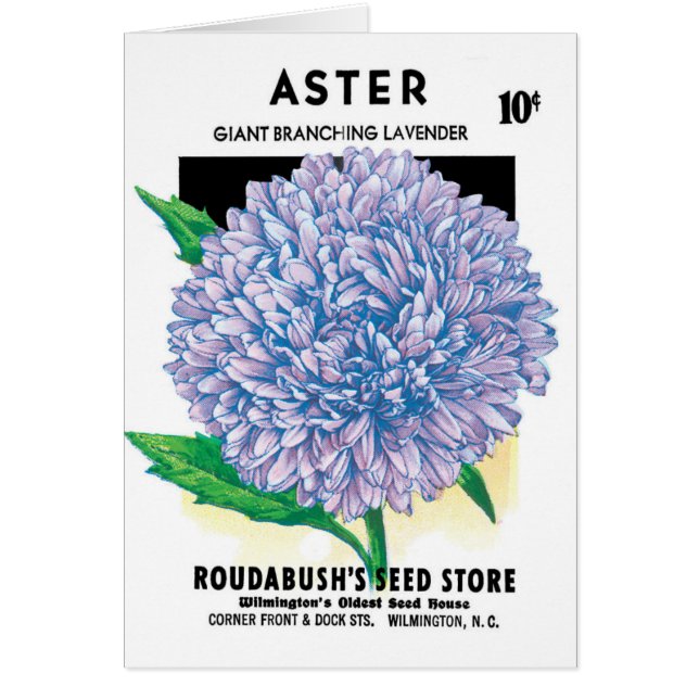 Vintage Seed Packet Art, Purple Aster Flowers (Front)