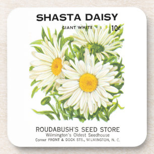 Vintage Seed Packet Art, Shasta Daisy Flowers Coaster
