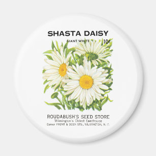 Vintage Seed Packet Art, Shasta Daisy Flowers Magnet