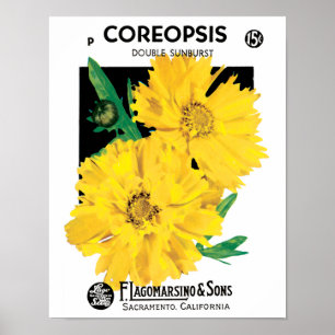 Vintage Seed Packet Art, Yellow Coreopsis Flowers Poster