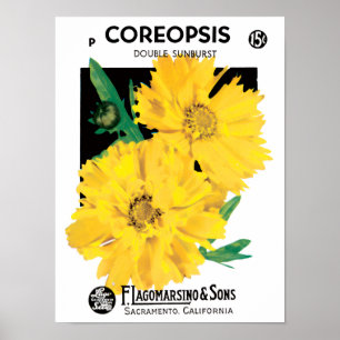 Vintage Seed Packet Art, Yellow Coreopsis Flowers Poster