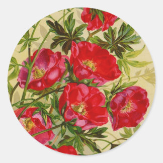 Vintage Seed Packet Catalogue Cards, Postage, Gift Classic Round Sticker